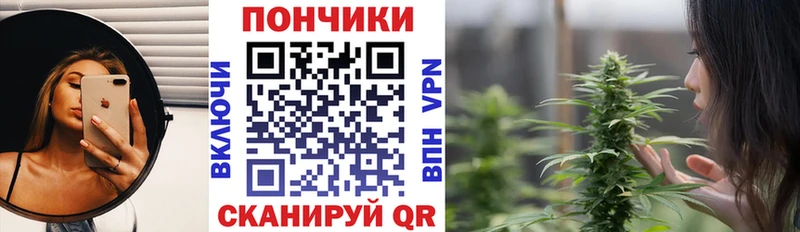 Каннабис Amnesia  купить закладку  мега   Шацк 